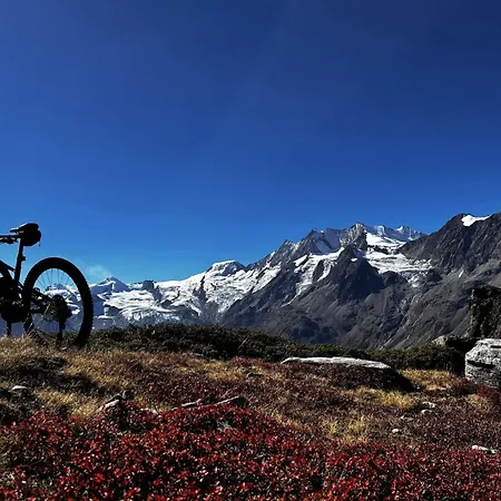 Evelyne Appartement-fewo By Interhome Apartment Saas-Fee